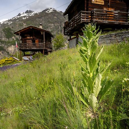 korn-stadel ARIDA PRATA natur pur Grächen Exterior foto