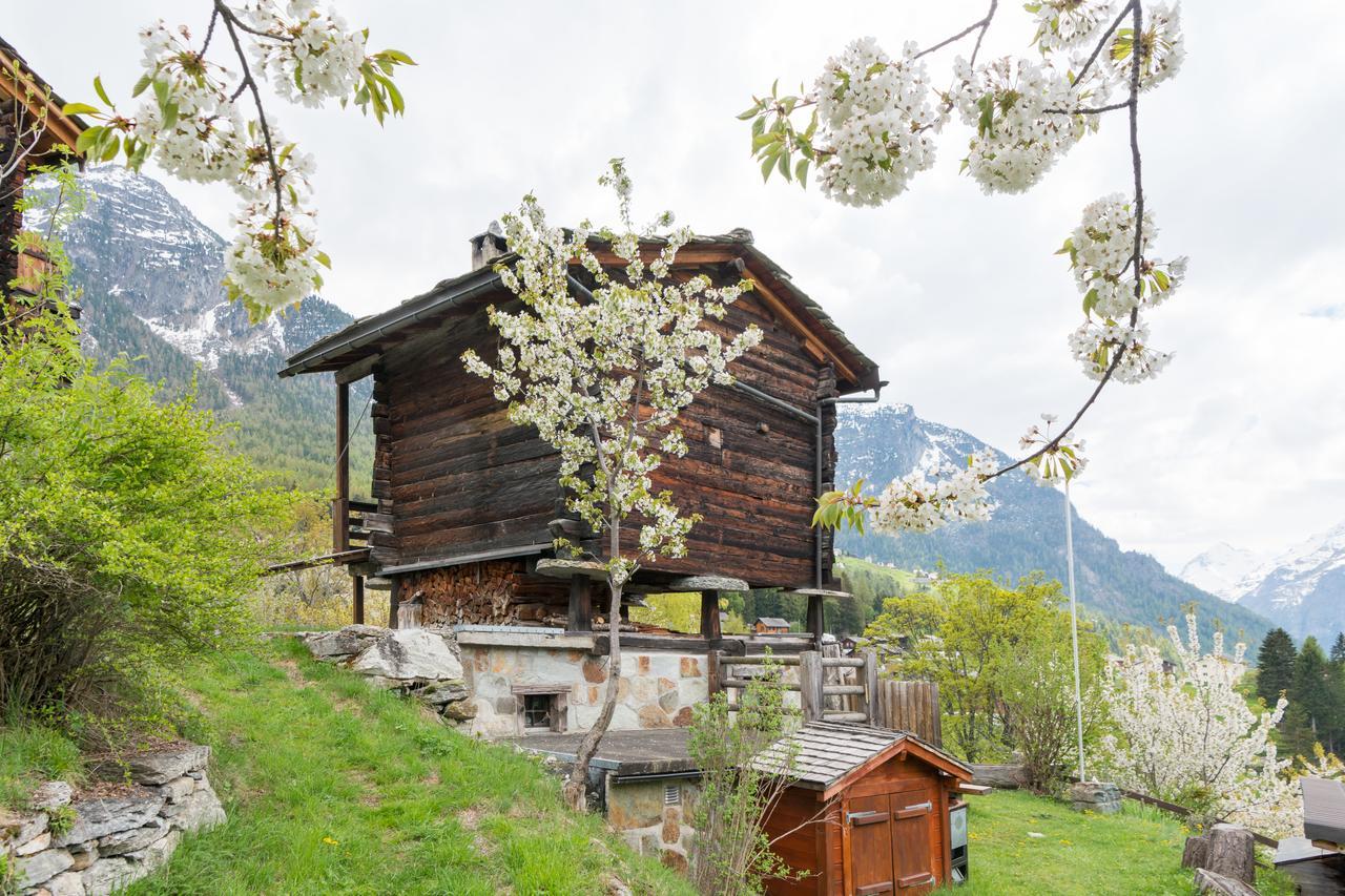 korn-stadel ARIDA PRATA natur pur Grächen Exterior foto